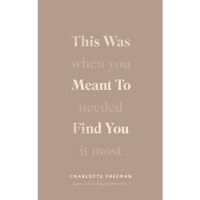 This was meant to find you when you needed it the most by Charlotte Freeman Feel Good Self improvement book