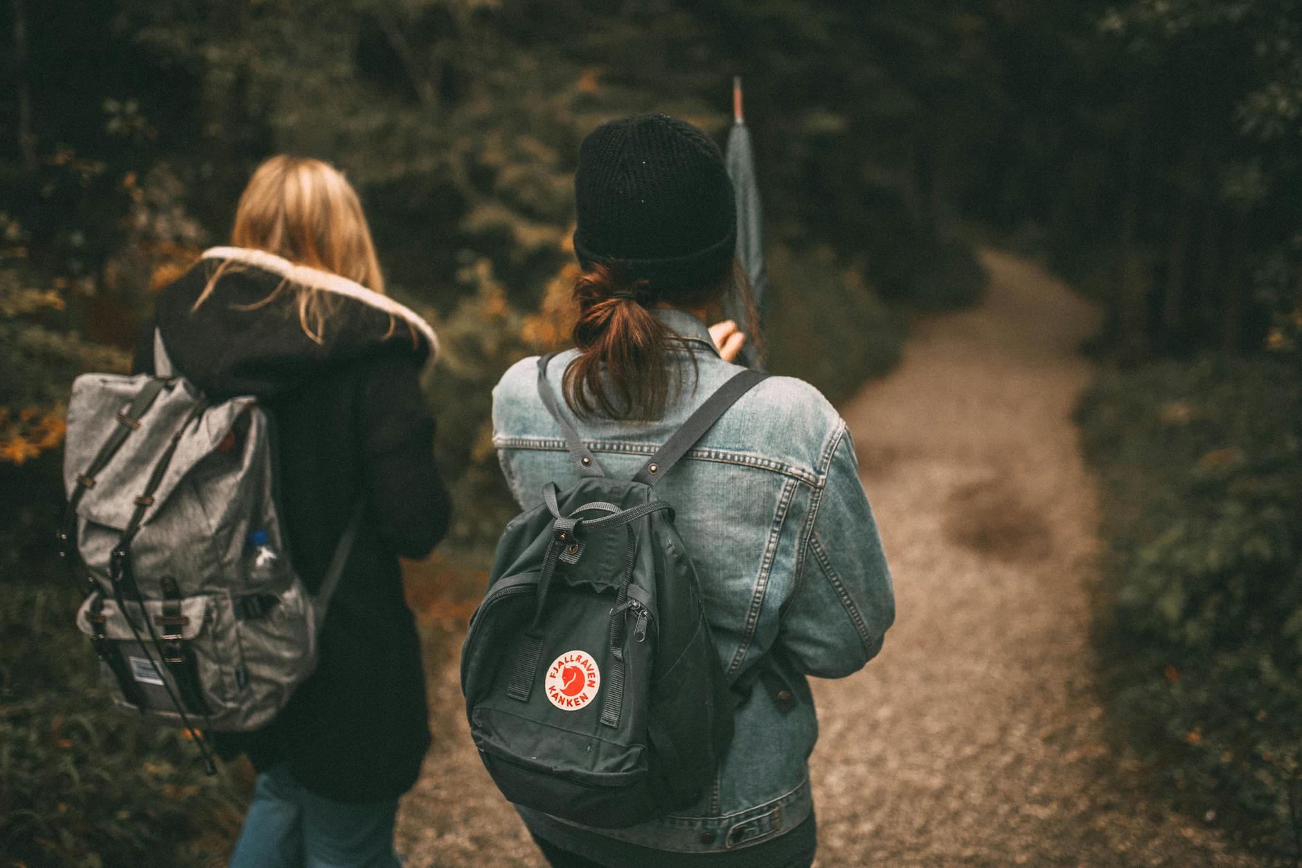 person walking forest walk path with another person