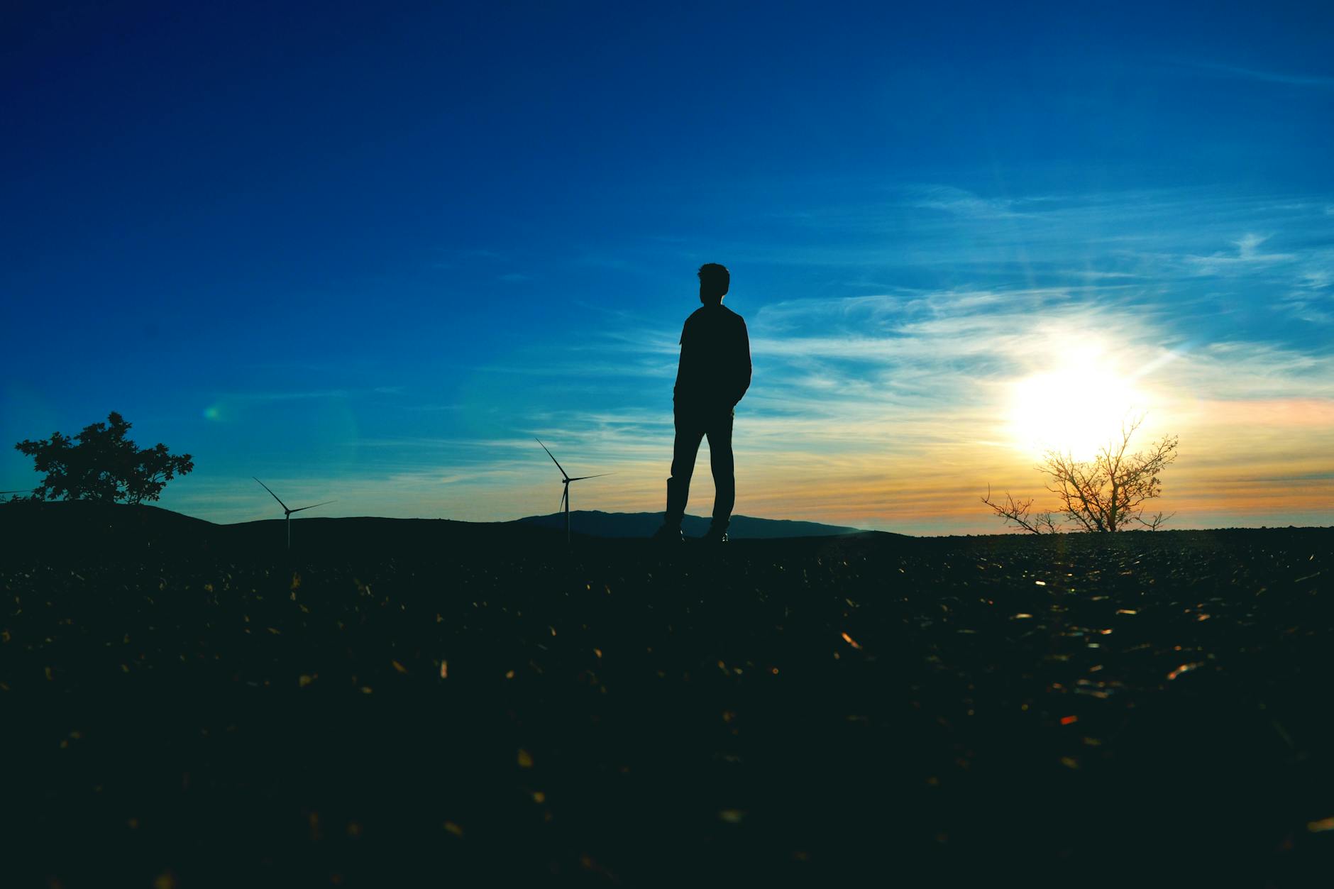silhouette of man near tree photo spending time in nature to reduce stress and p=improve physical wellness.