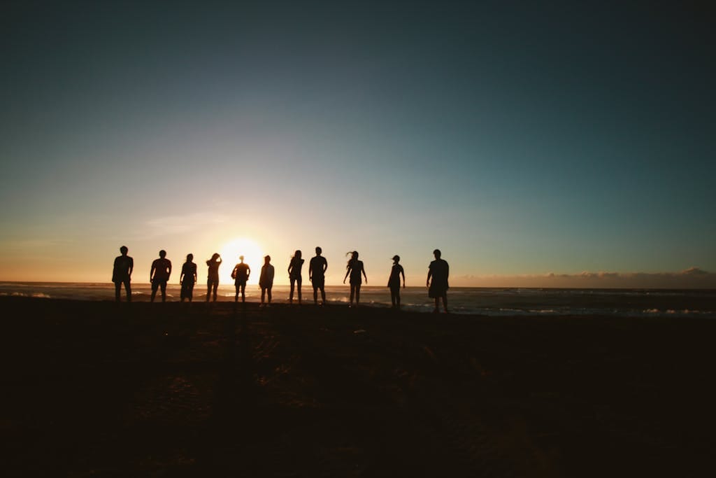 Silhouette of People during Sunset - community