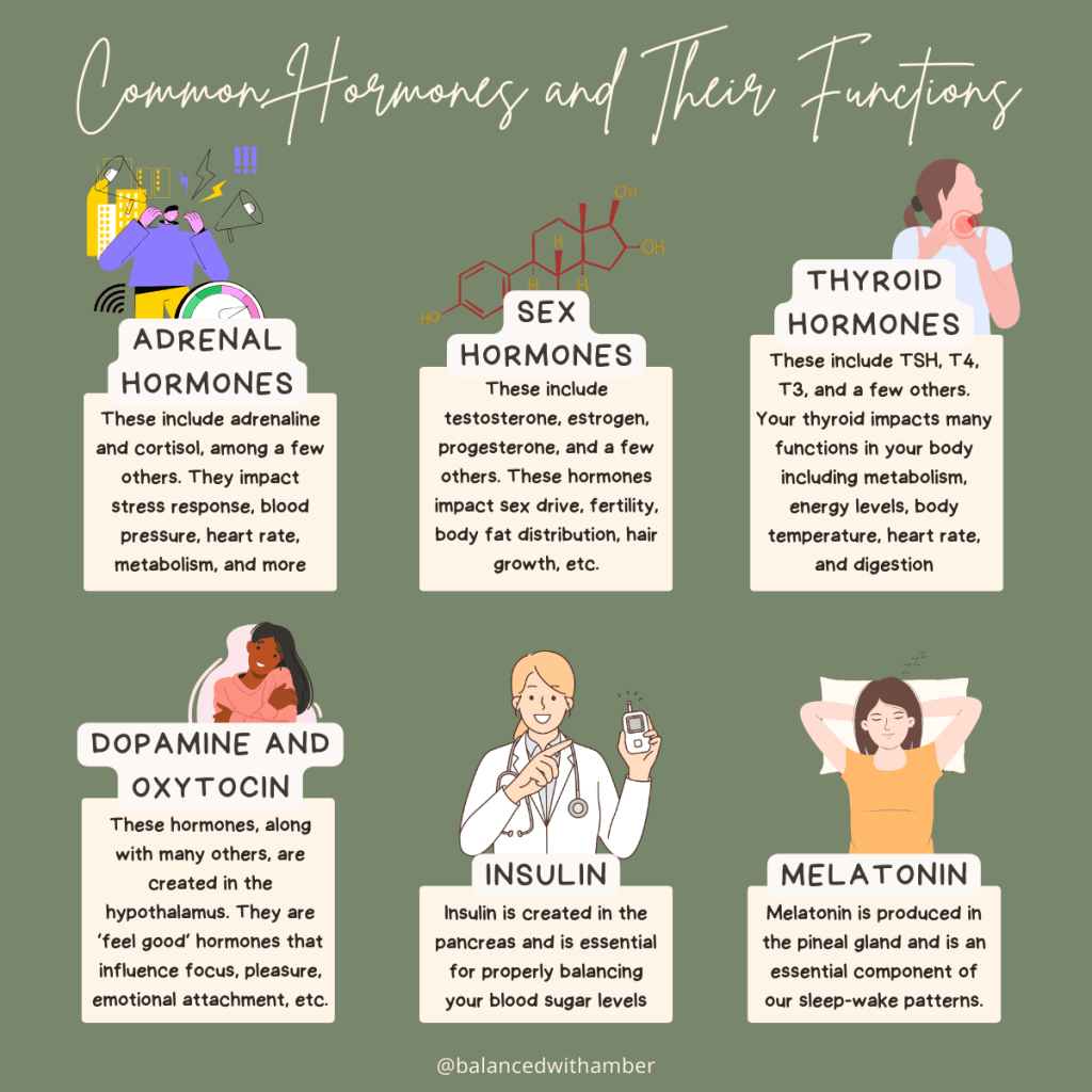 Graphic: Common Hormones and Their Functions. Adrenal Hormones: adrenaline, cortisol, others. They impact stress, blood pressure, heart rate, metabolism, more. Sex Hormones: testosterone, estrogen, progesterone, etc. These impact sex drive, fertility, body fat, hair growth, etc. Thyroid Hormones: TSH, T4, T3, others. Thyroid impacts metabolism, energy, temperature, heart rate, digestion. Dopamine and oxytocin. Created in hypothalamus. Feel good hormones that influence focus, pleasure, emotional attachment, etc. Insulin: created in pancreas, is essential for blood sugar balance. Melatonin: produced in pineal gland. Sleep-wake patterns.