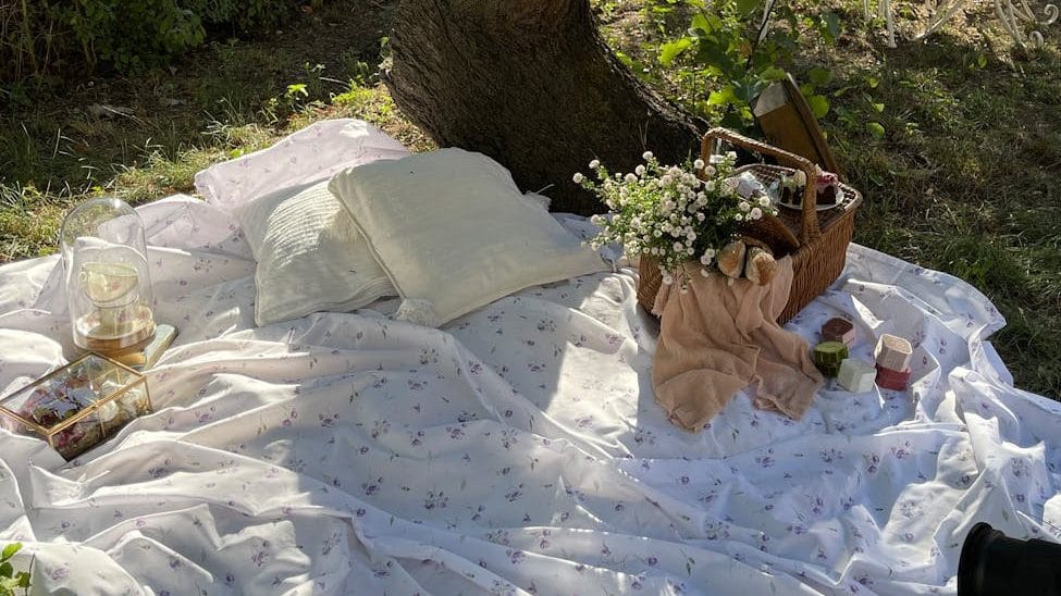 picnic under tree with blanket, pillow, and self-care basket
