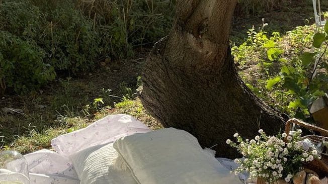 picnic under tree